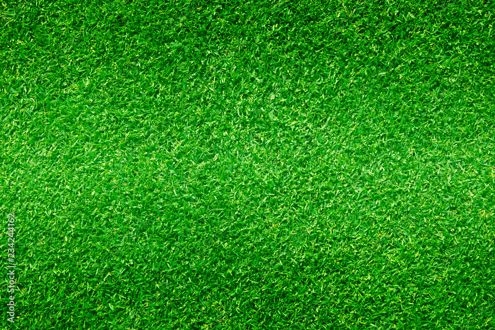Fototapeta premium Natural background of green grass