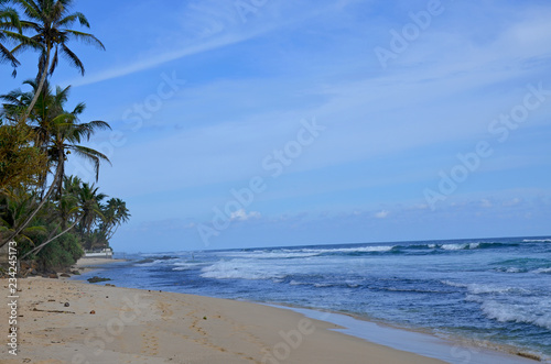 The landscape protected the India ocean in Sri Lanka  