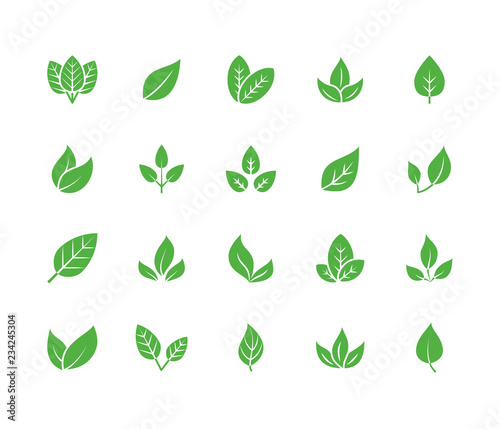 Leaf flat glyph icons. Plant, tree leaves illustrations. Signs of organic food, natural material, bio ingredient, eco emblem. Solid silhouette pixel perfect 64x64.