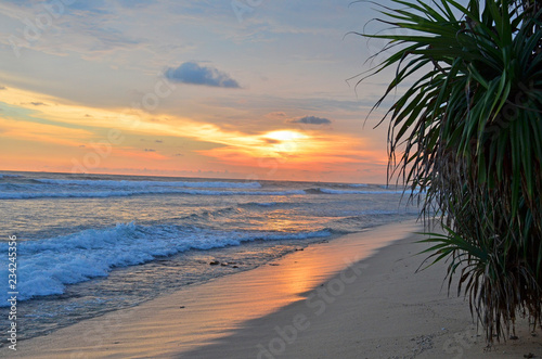 The landscape a sunset protected India ocean in Sri Lanka