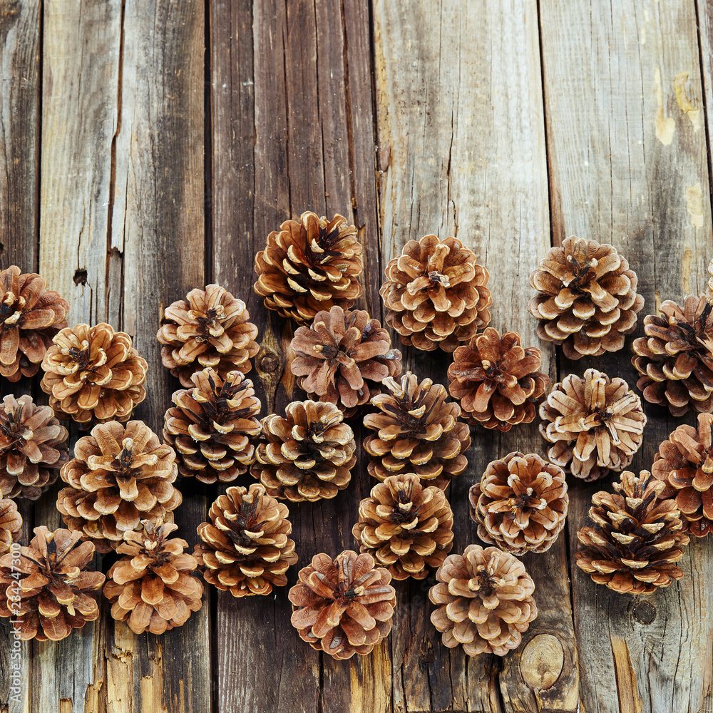 Pine cone over wooden background. Top view. Pine cone over wooden background. Top view.