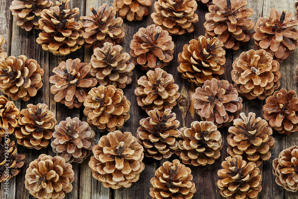 Pine cone over wooden background. Top view. Pine cone over wooden background. Top view.