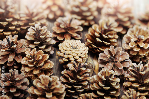 Pine cone over wooden background. Top view.