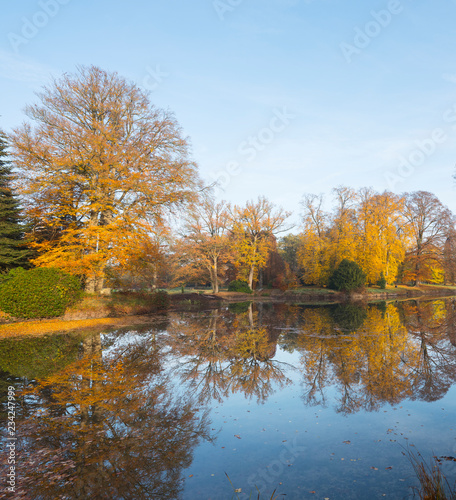 trees in autumn colors reflected in blue water of pond in the netherlands