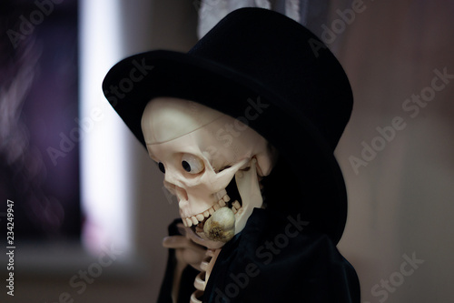 Skeleton with hat on head and cloak with garlic in mouth. Halloween decoration. Close-up view with blurred background. © Alexs
