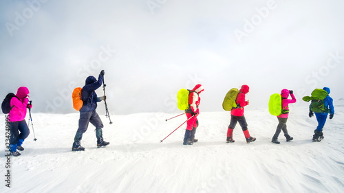 Group of tourists with backpackers and ski poles climbing the Carpathian mountains in winter. Climbers hike in the mountains