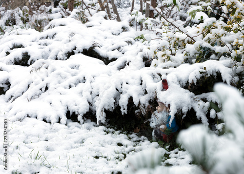 Gnome in snow under the spruce tree branches in forest, Czech Republic