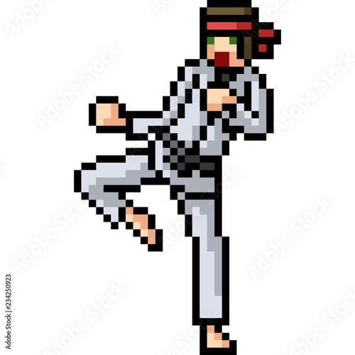 vector pixel art martial artist