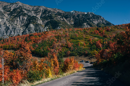 Mountain road between autumn trees