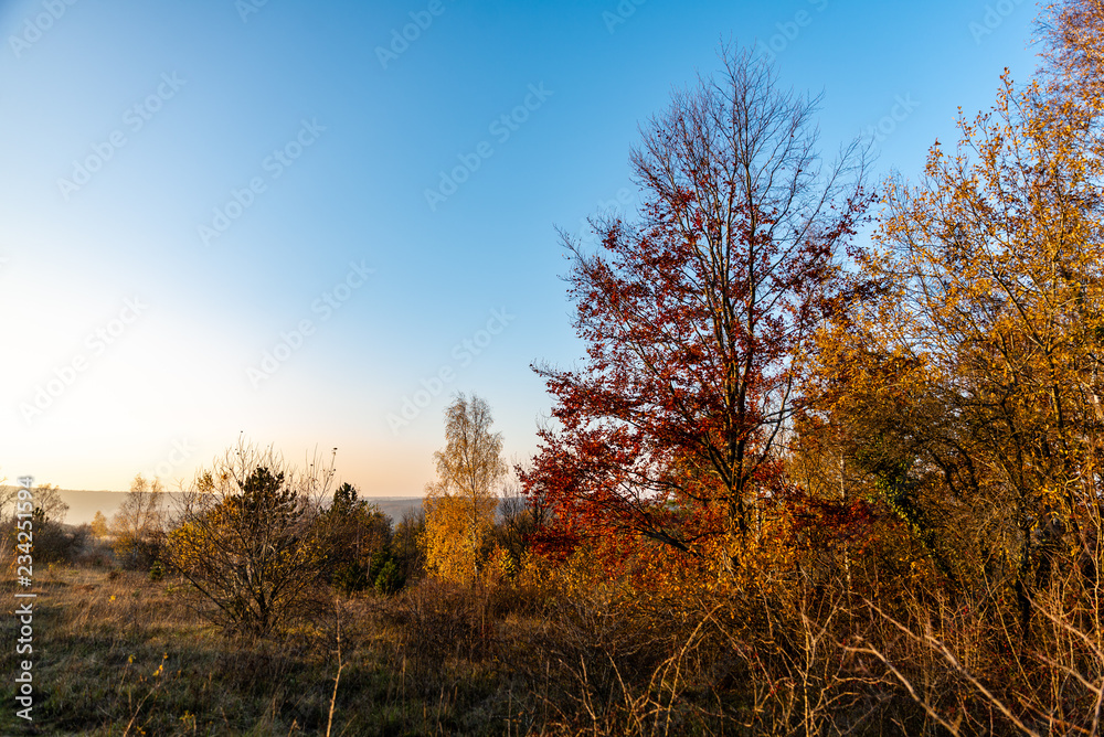 Couleurs d'automne en fin de journée Couleurs d'automne en fin de journée