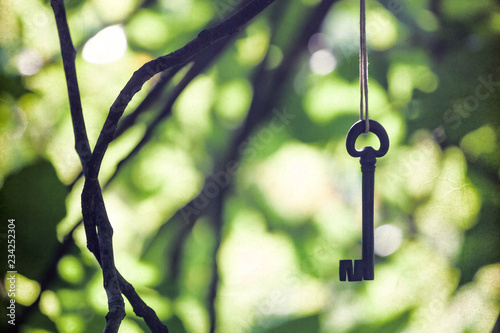 Ancient wrought iron key hanging between branches.