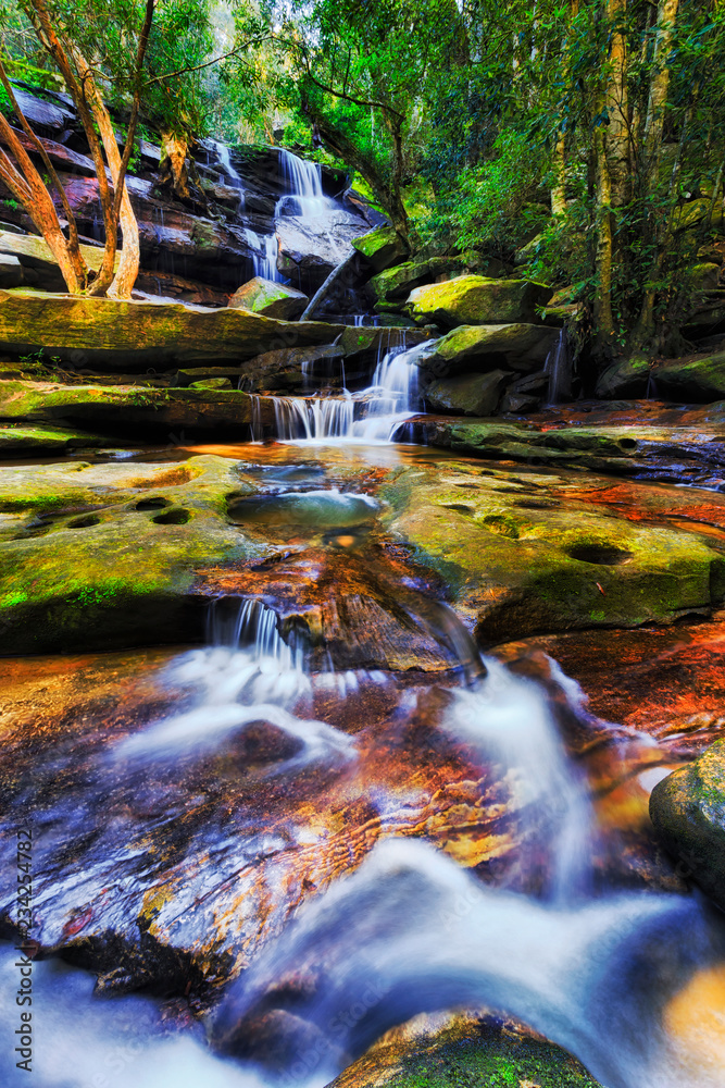 Fototapeta premium WF Somersby Low Vert Long