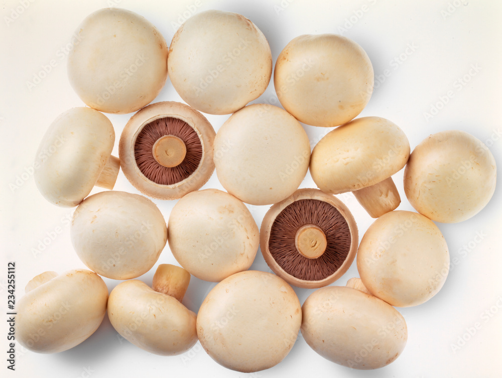 MUSHROOMS MUSHROOMS