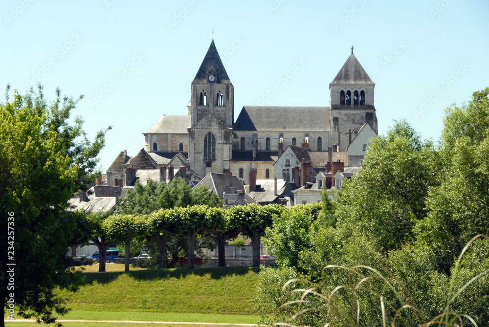 Collégiale Saint-Aignan, verdure en premier plan, ville de Saint-Aignan-sur-Cher, Loir et Cher, France