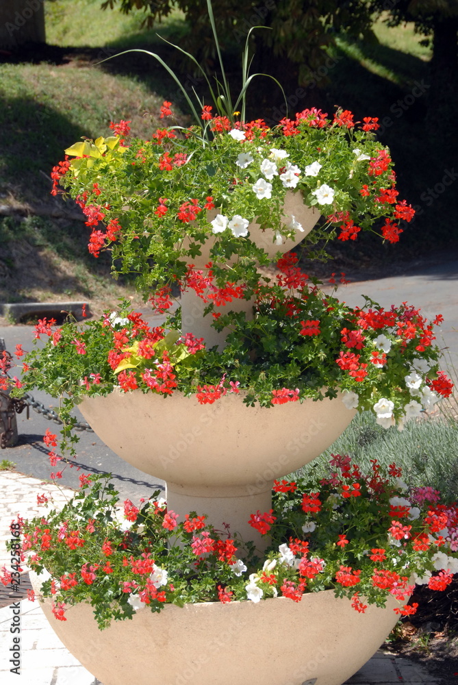 Vasques fleurie de fleurs rouges et blanches, jardinière, ville de  Saint-Aignan-sur-Cher, département du Loir et Cher, France Photos | Adobe  Stock
