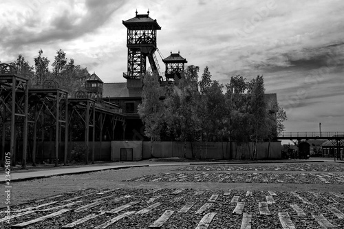 Cuadro en lienzo Mine noir et blanc