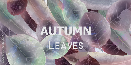 Autumn leaves background Vector watercolor. Fall season templates