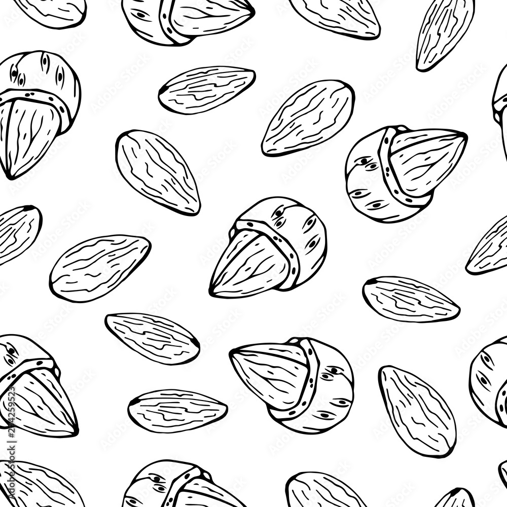 Pattern of vector illustrations on the nutrition theme; set of almonds. Realistic isolated objects for your design. Pattern of vector illustrations on the nutrition theme; set of almonds. Realistic isolated objects for your design.