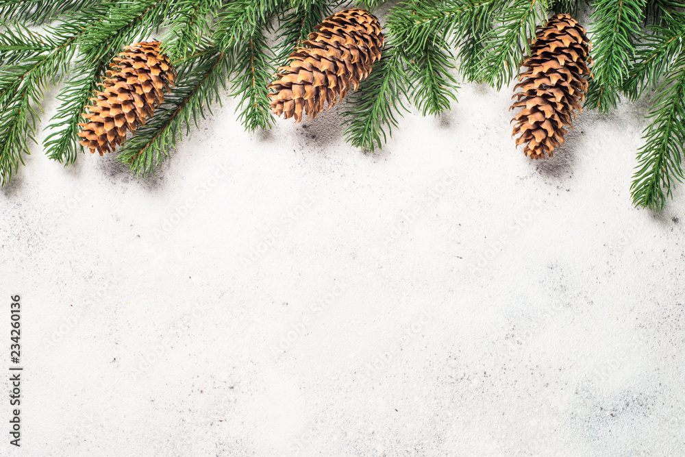 Obraz premium Christmas background with fir tree and cones on white backgroun