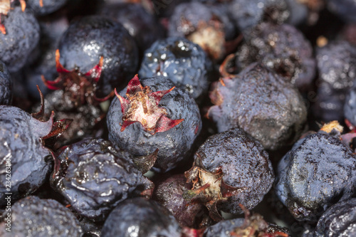 Fototapeta Naklejka Na Ścianę i Meble -  Amelancher ripe berries as a background