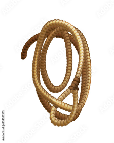 Element of the wild west, lasso rope for cowboys.