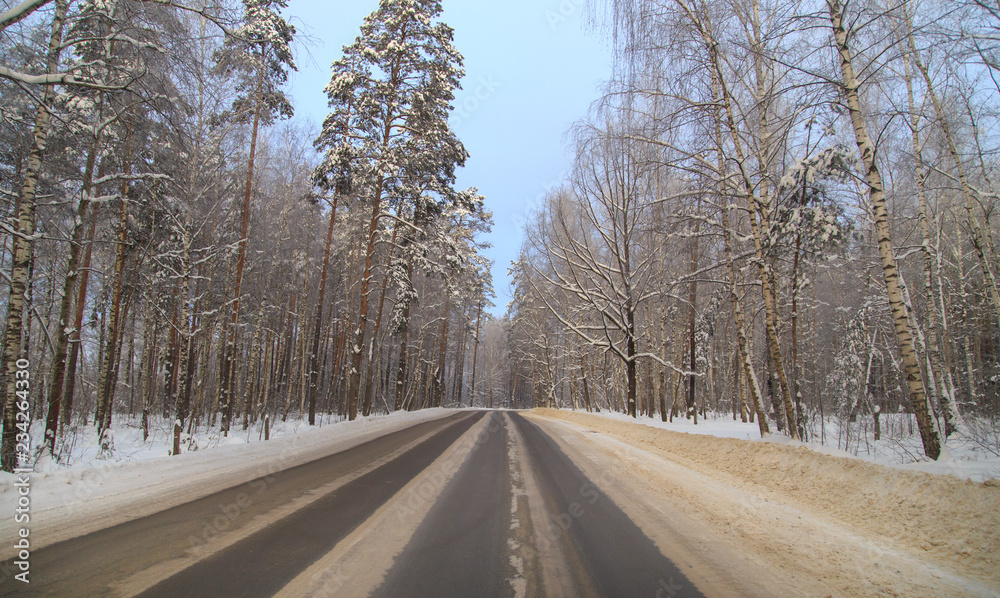 Snow road in the forest in winter