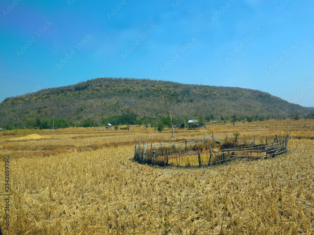 Obraz premium a little pond in the dry rice farm after harvest season with the bright sky and the mountain