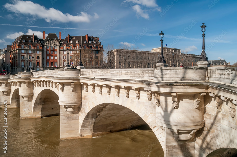 Beautiful view of the Pont Neuf in Paris, France, on a sunny day