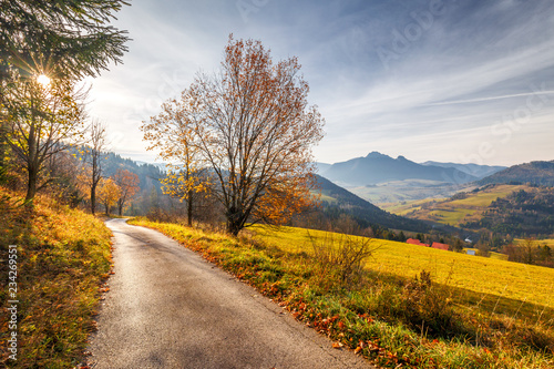 A narrow road through an autumn landscape with mountains at sunrise. Mala Fatra National Park, not far from the village of Terchova in Slovakia, Europe.