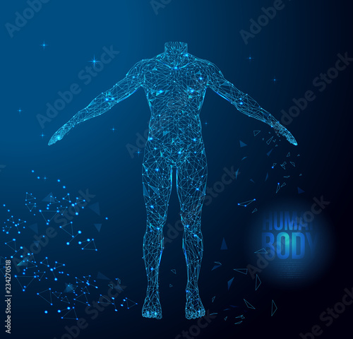 Human body anatomy form lines and triangles, point connecting network on blue background. polygonal wireframe body on blue night sky with dots and stars.  Illustration vector