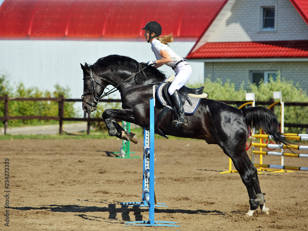 Young girl jumping obstacle with bay horse Young girl jumping obstacle with bay horse