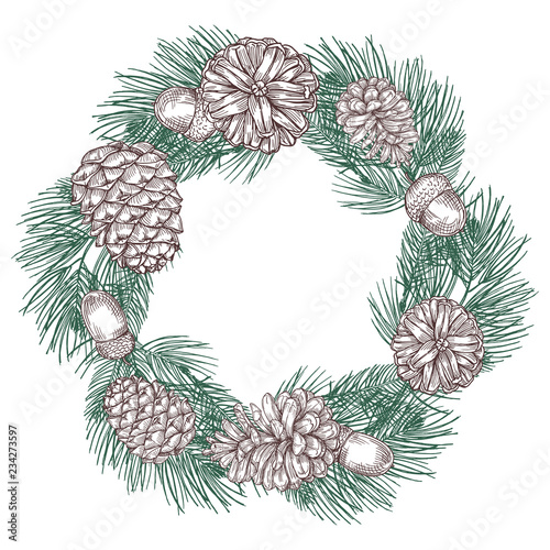 Green spruce branches wreath with cones vector illustration. Christmas branch wreath spruce, traditional holiday ornament