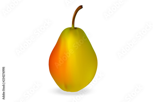 Realistic 3d pear, latin name Parus, varieties of Early on a white background with realistic shadows. Vector illustration.