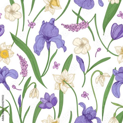 Botanical seamless pattern with seasonal blooming flowers on white background