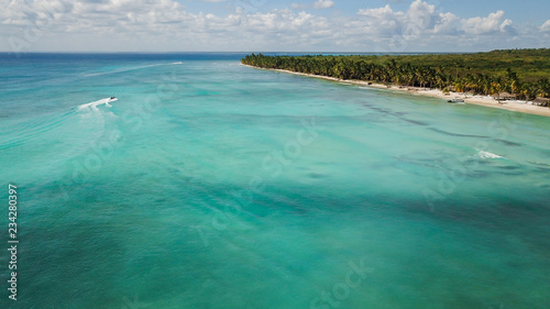 Top view of beautiful white sand beach with turquoise sea water and palm trees, aerial drone shot. Nature background