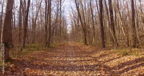 A walk in the deciduous  autumn forest. Very low point of shooting. Under the camcorder leaves the fallen leaves on a narrow path .