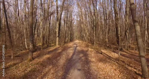 A walk in the deciduous  autumn forest. Copter slowly flies over the path between the bare trees.