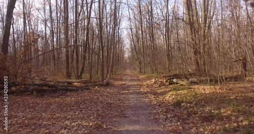 A walk in the deciduous  autumn forest. Copter slowly flies over the path between the bare trees.