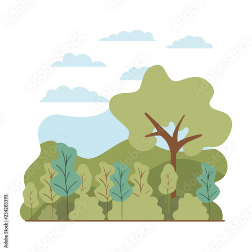 trees plant with landscape isolated icon