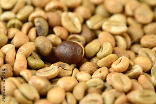 roasted coffee bean on a background of green coffee beans
