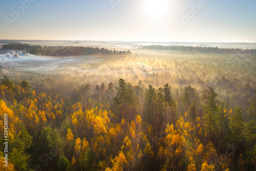 Autumn swamp in the morning © Viktar Malyshchyts
