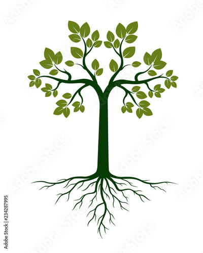 Green Tree and Roots. Vector Illustration.