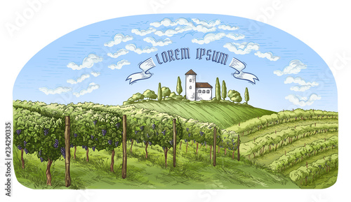 colorfull vine plantation hills, trees, clouds, and ancient castle on the horizon vector illustration