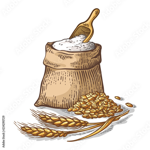 colorfull bag of burlap with fresh flour and wooden scoop on white background vector illustration