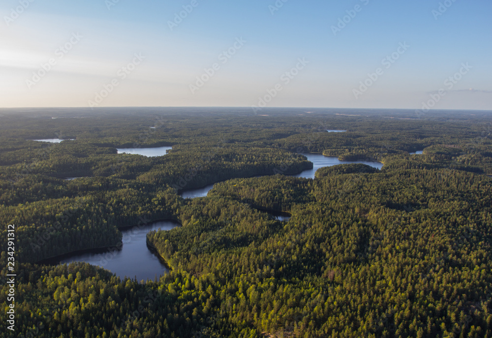 panoramic view of the forest with lakes