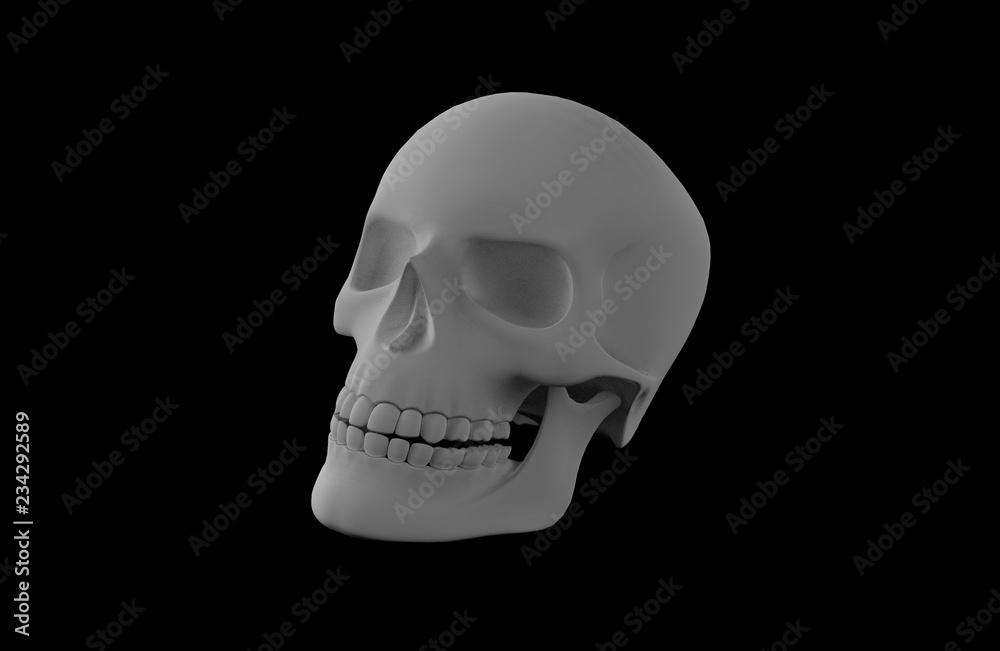 Gray matte human skull on black background. 3D rendering