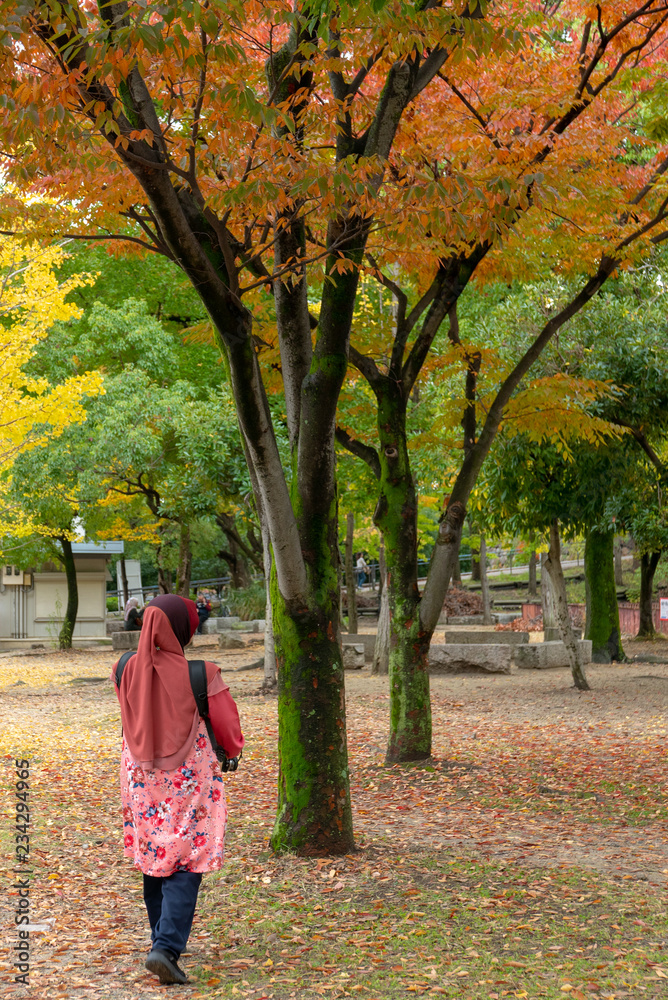 OSAKA PERFECTURE, JAPAN-NOVEMBER 9, 2018: Unidentified Muslim woman in hijab enjoying autumn season colours at Osaka Castle Park in Osaka, Japan. OSAKA PERFECTURE, JAPAN-NOVEMBER 9, 2018: Unidentified Muslim woman in hijab enjoying autumn season colours at Osaka Castle Park in Osaka, Japan.