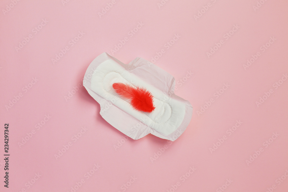 Red feather and daily, menstrual woman pad for hygiene or blood period. Woman critical days, gynecological menstruation cycle. Red feather and daily, menstrual woman pad for hygiene or blood period. Woman critical days, gynecological menstruation cycle.