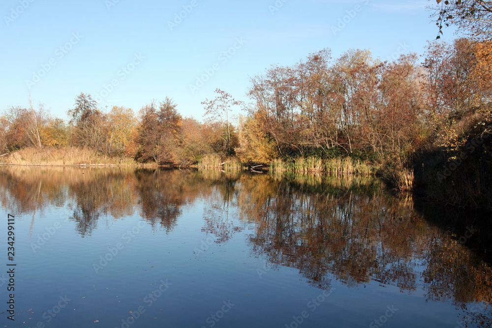 Le lac dans la réserve naturelle Le lac dans la réserve naturelle
