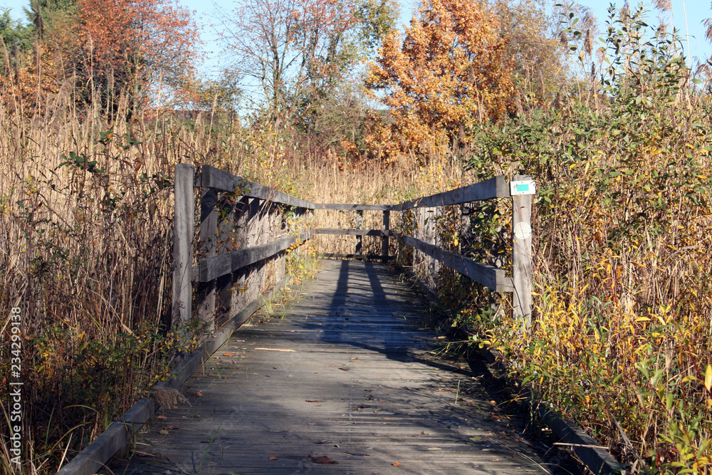 Un pont dans la réserve naturelle